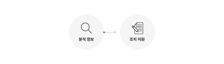 전파 및 보고, 탐지내역 및 조치 사항